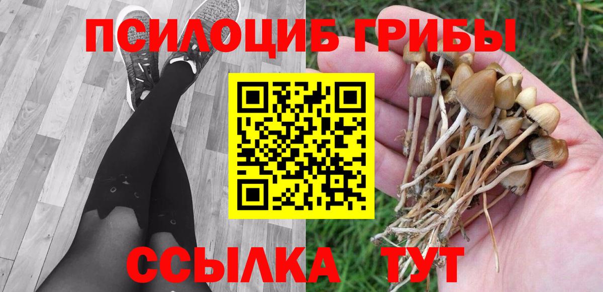 Галлюциногенные грибы Psilocybine cubensis  Вход с VPN  Арзамас 